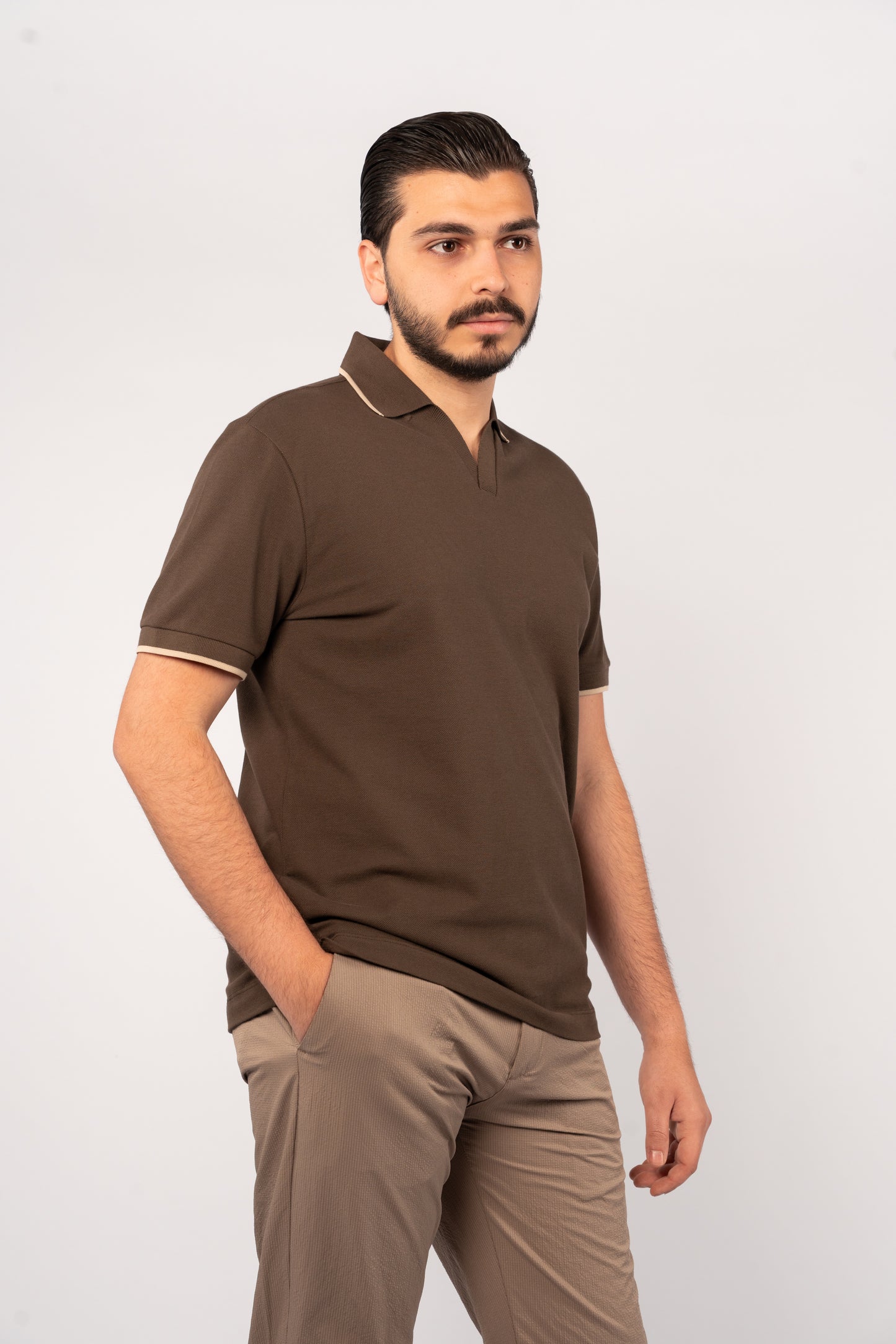 BROWN BEIGE LINE VNECK POLO
