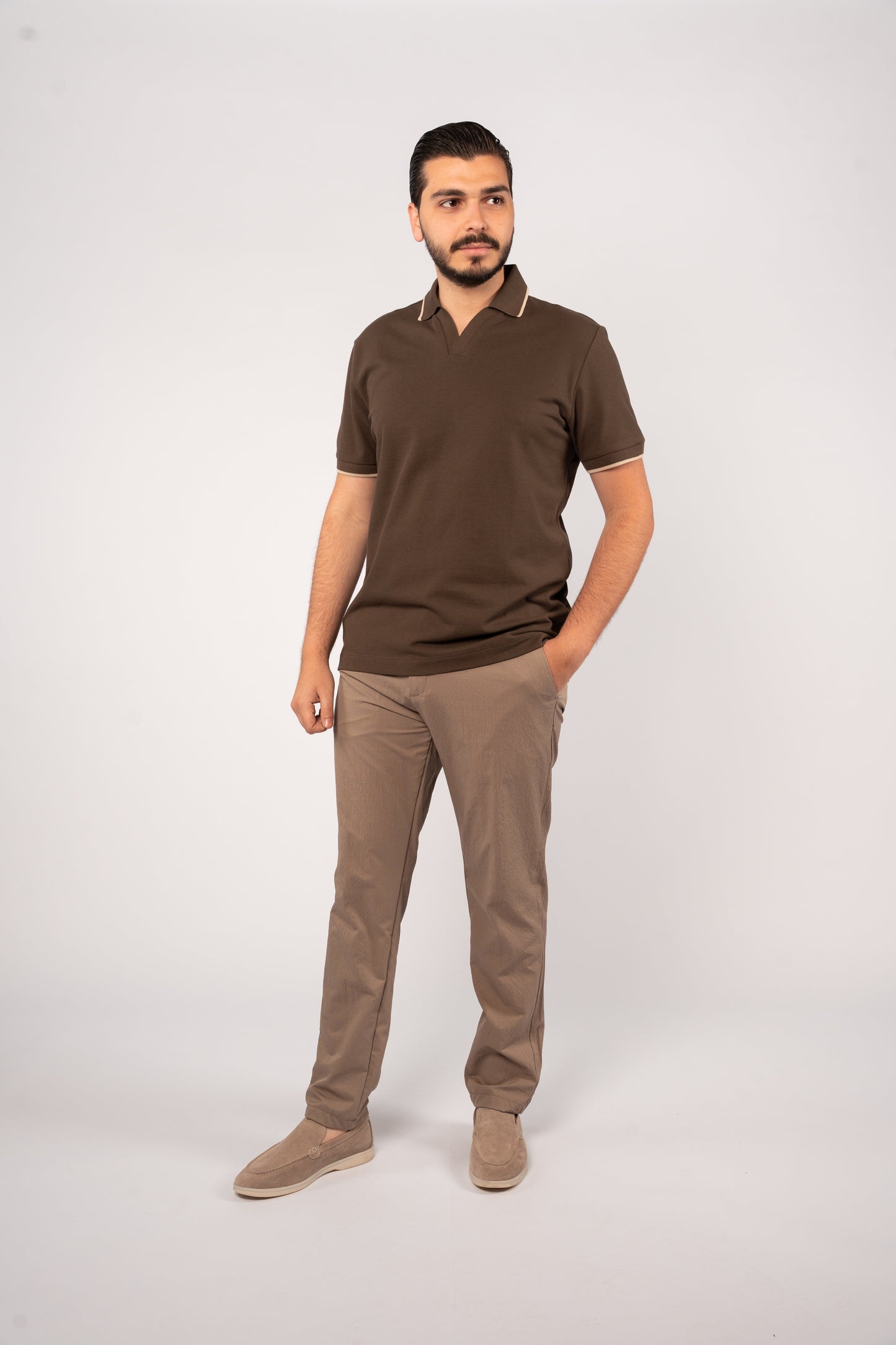 BROWN BEIGE LINE VNECK POLO